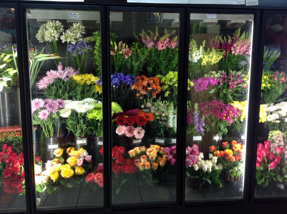FLOWERS N THINGS FLOWER & GIFT SHOP | 763 Davis Dr, Newmarket, ON L3Y 2R2, Canada | Phone: (905) 830-0024