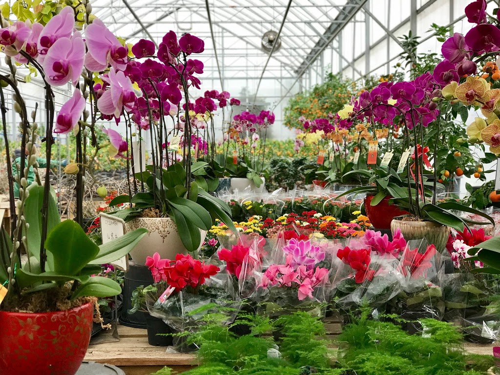 Garden In Gardens Greenhouse Ltd | 7600 No 5 Rd, Richmond, BC V6Y 2V2, Canada | Phone: (604) 233-2323