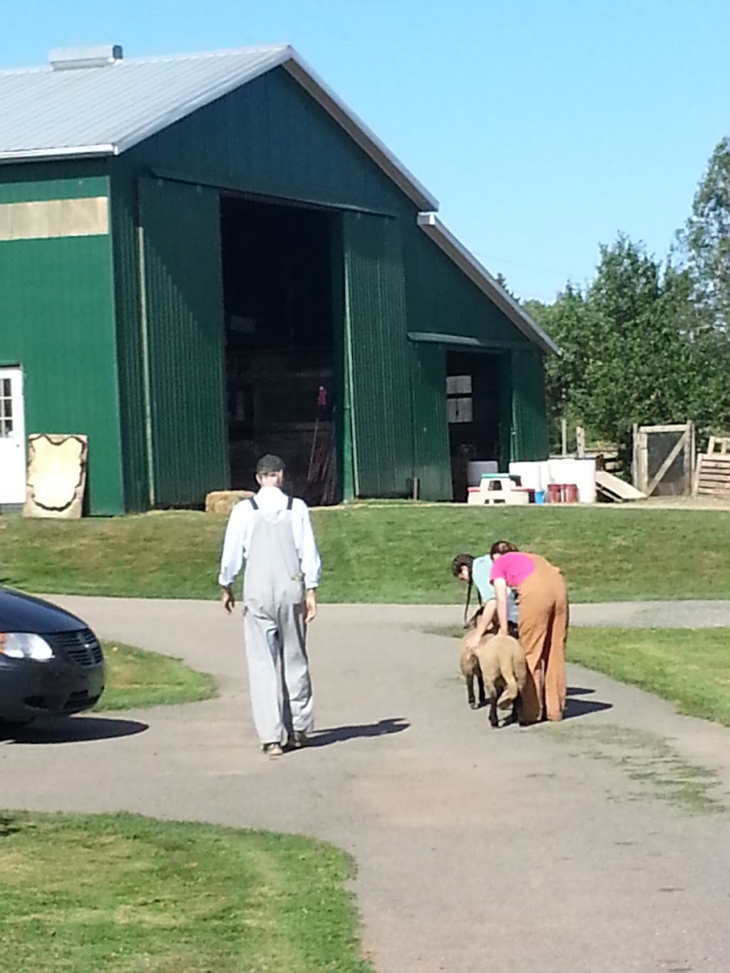 Springwater Farm | 697 Dundas Rd, Saint Peters Bay, PE C0A 2A0, Canada | Phone: (902) 583-2340