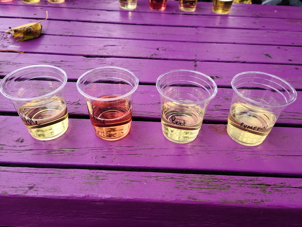 Small Talk Vineyards | 1242 Irvine Rd, Niagara-on-the-Lake, ON L0S 1J0, Canada | Phone: (905) 935-3535