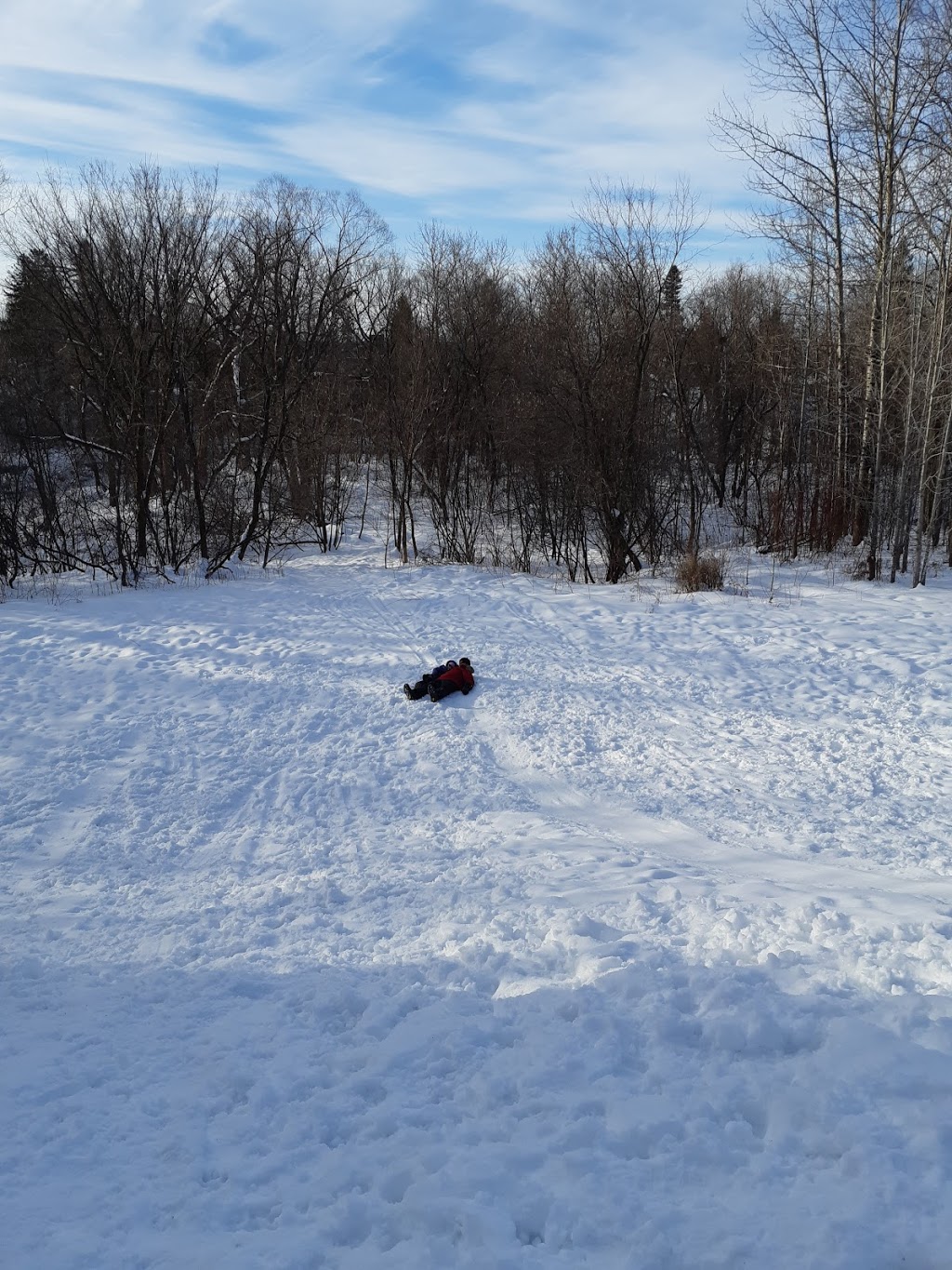 Parc Fénelon | 1260 Rue Fénelon, Québec, QC G2E 4H5, Canada