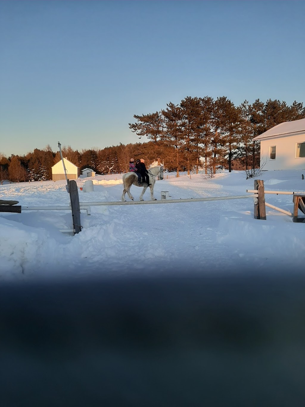Écurie Catherine Coulombe | 505 Chemin du Golf, Montmagny, QC G5V 3R9, Canada | Phone: (418) 291-0128