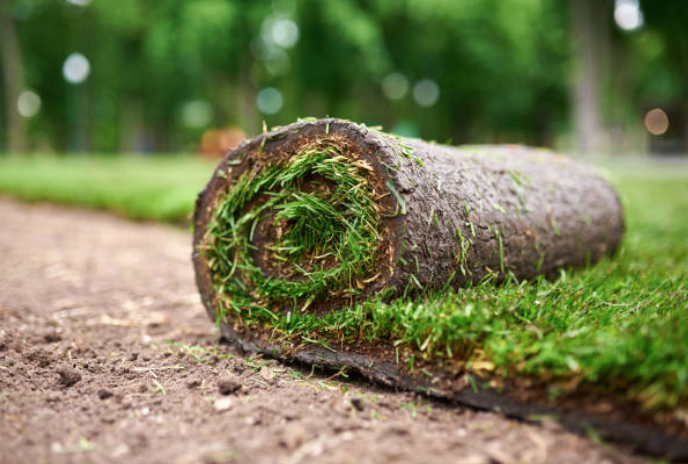 Green Clover Landscaping | 17823 Mt Hope Rd, Palgrave, ON L7E 0G3, Canada | Phone: (416) 465-1500