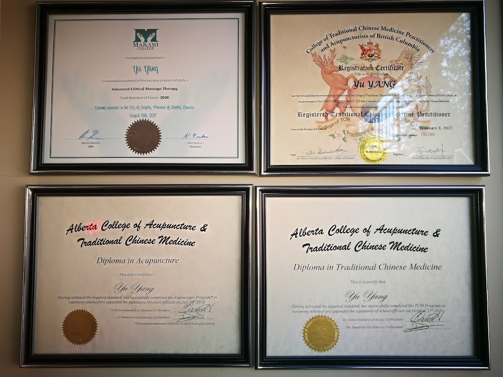 Beyond Yang TCM Therapy Clinic | 2405 Bellevue Ave, West Vancouver, BC V7V 1E1, Canada | Phone: (778) 628-1216