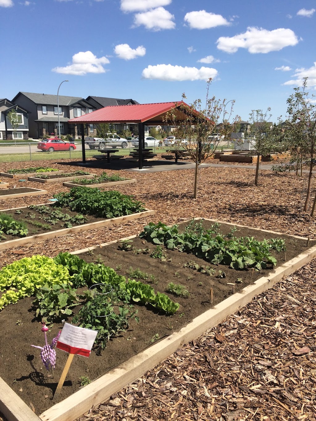 Copperwood | Coalbanks Blvd W, Lethbridge, AB T1J 2G9, Canada | Phone: (780) 455-3098
