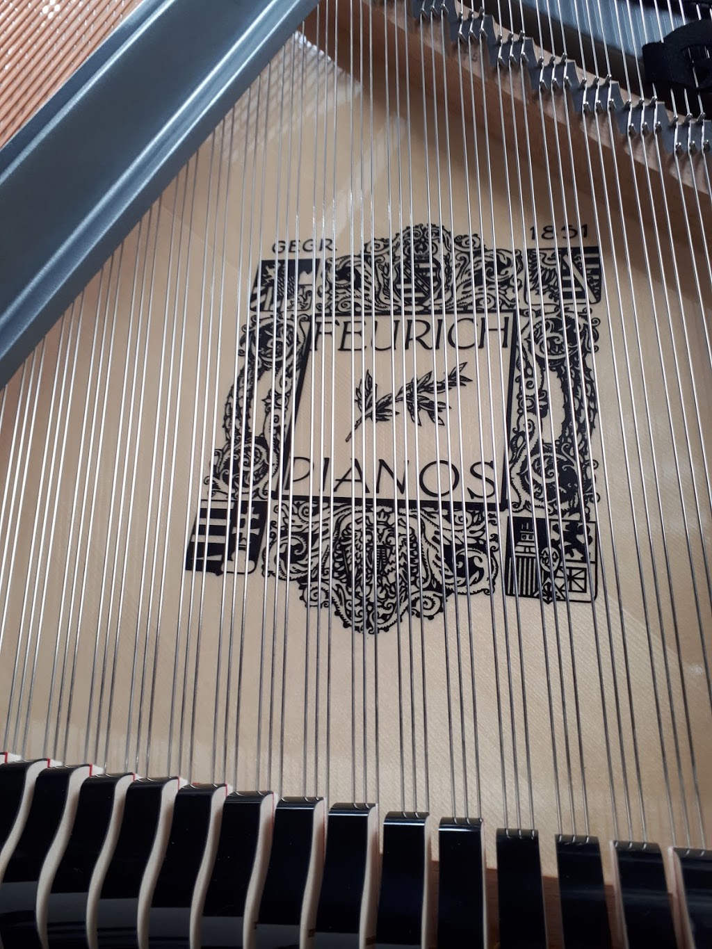 Plams Piano Solutions | 244 Macewan Glen Pl NW, Calgary, AB T3K 2C8, Canada | Phone: (403) 389-5513