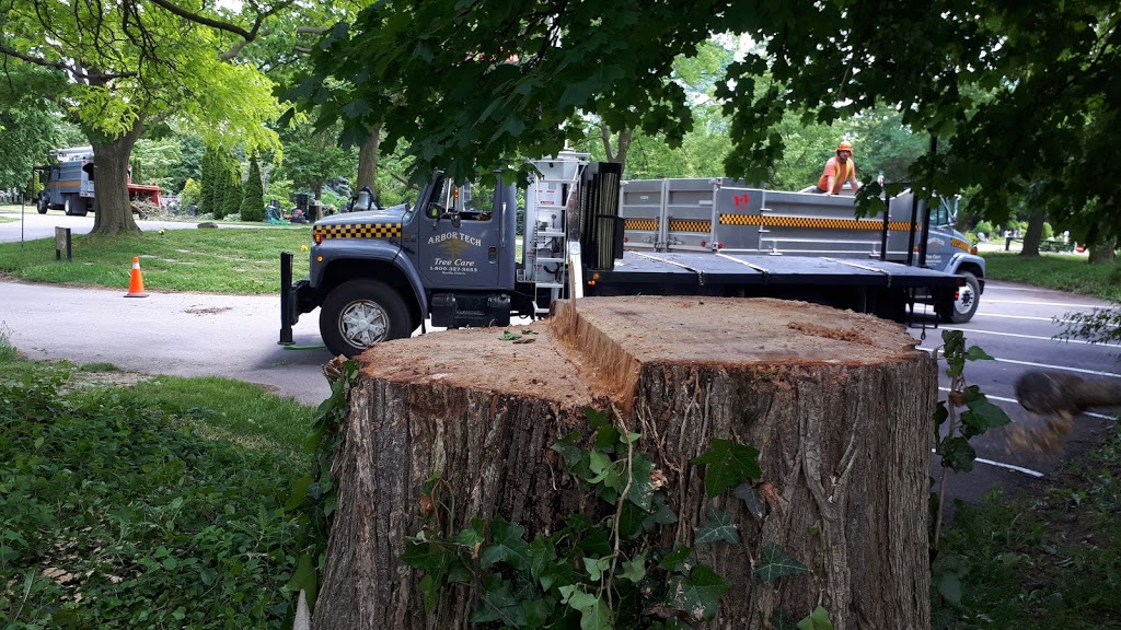 Arbor Tech Tree Care | 2360 Brock St, Manilla, ON K0M 2J0, Canada | Phone: (800) 327-3653
