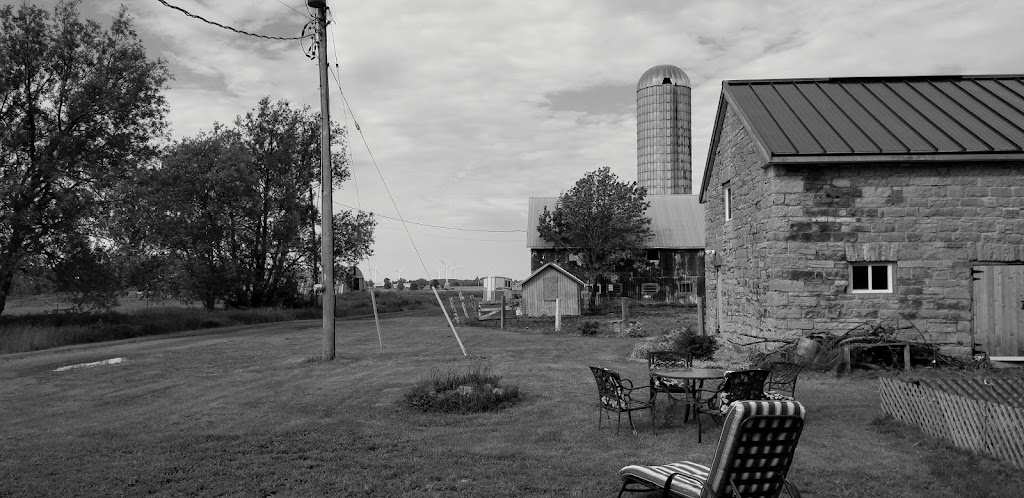 Blazing Saddles Farm | 433 County Rd 95, Wolfe Island, ON K0H 2Y0, Canada | Phone: (613) 572-5338