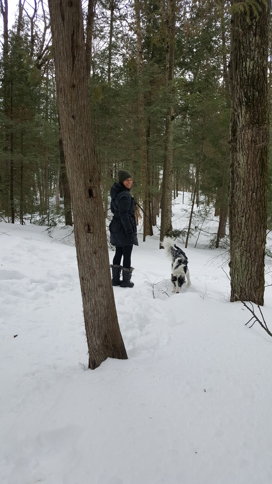 Parc Du Bois Brûlé | 1012- de la, 1016 Rue Visitation, Saint-Charles-Borromée, QC J6E 7Y8, Canada | Phone: (450) 759-4415