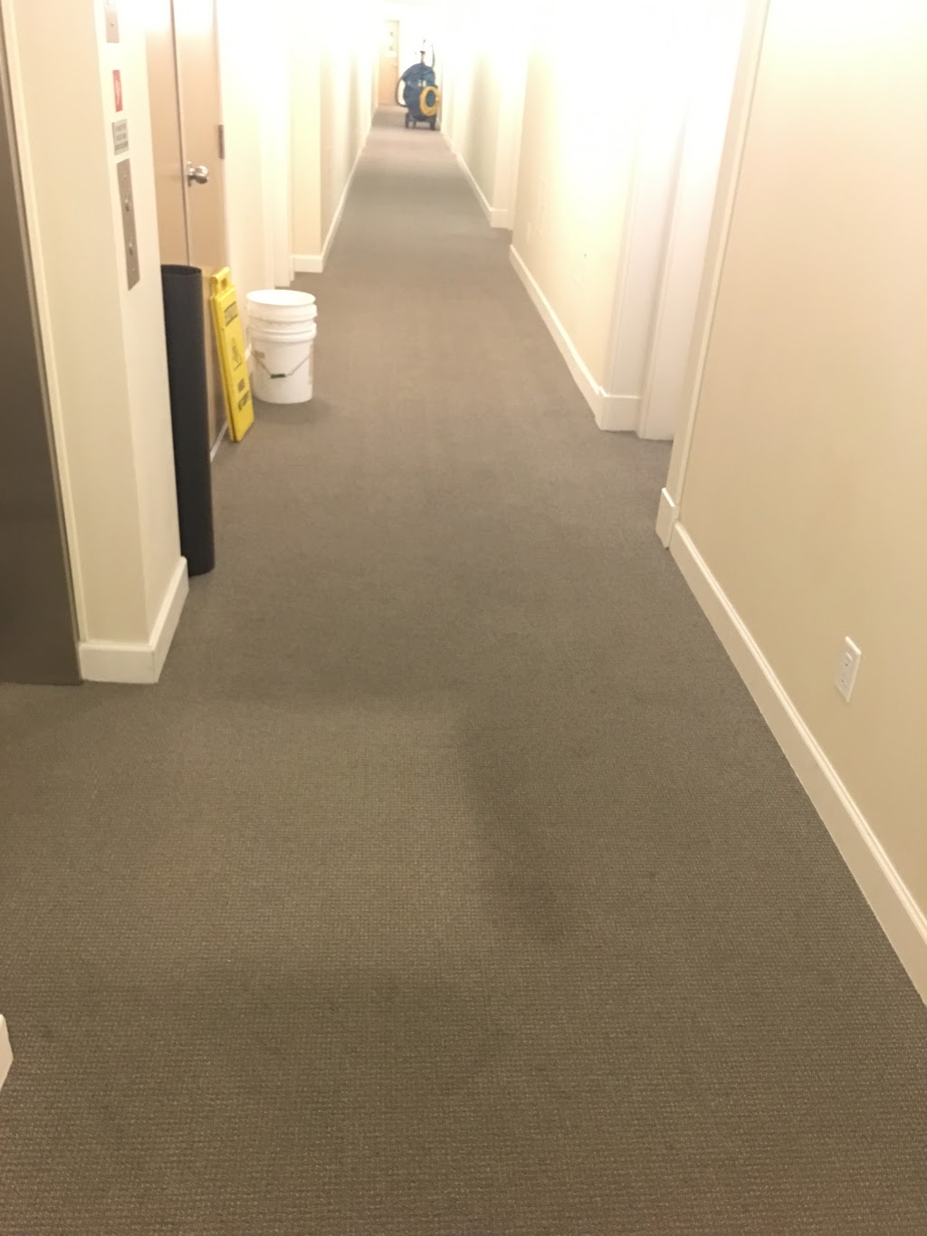 Canadian Care Cleaning | 10707 139 St #102, Surrey, BC V3T 0B2, Canada | Phone: (778) 893-8884