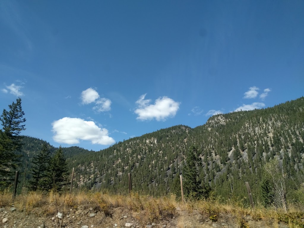 Princeton Wood Preservers Ltd | 1821 Crowsnest Hwy, Princeton, BC V0X 1W0, Canada | Phone: (250) 295-7911