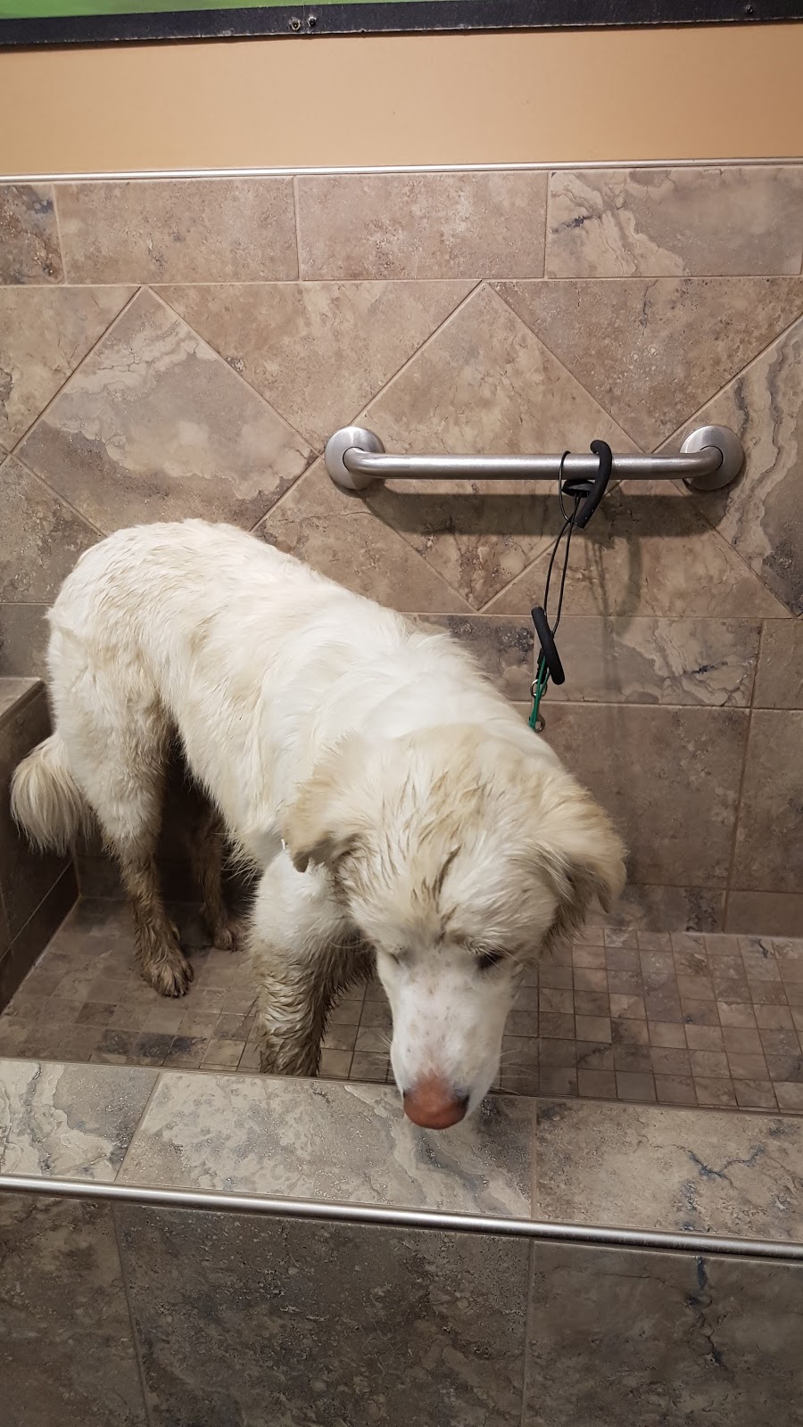 Pet Valu | 720 Center St #D2, Thornhill, ON L4J 0A7, Canada | Phone: (905) 881-0396