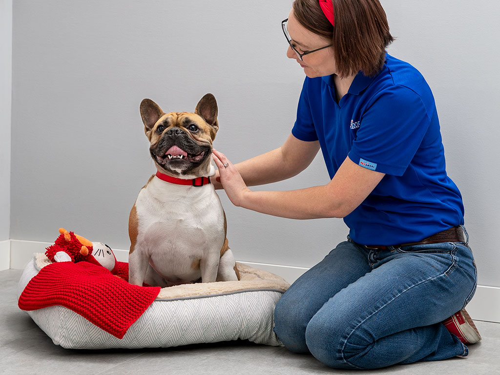 PetSmart | 80 Longview Common SE #610, Southeast Calgary, AB TaX 4S7, Canada | Phone: (825) 407-0030