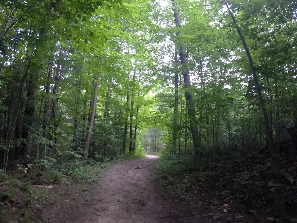 Eldred King Woodlands | ON-48, Whitchurch-Stouffville, ON L4A 7X4, Canada | Phone: (877) 464-9675