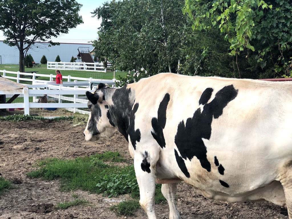 Old McDonalds Farm | 14369 County Rd 145, Sackets Harbor, NY 13685, USA | Phone: (315) 583-5737