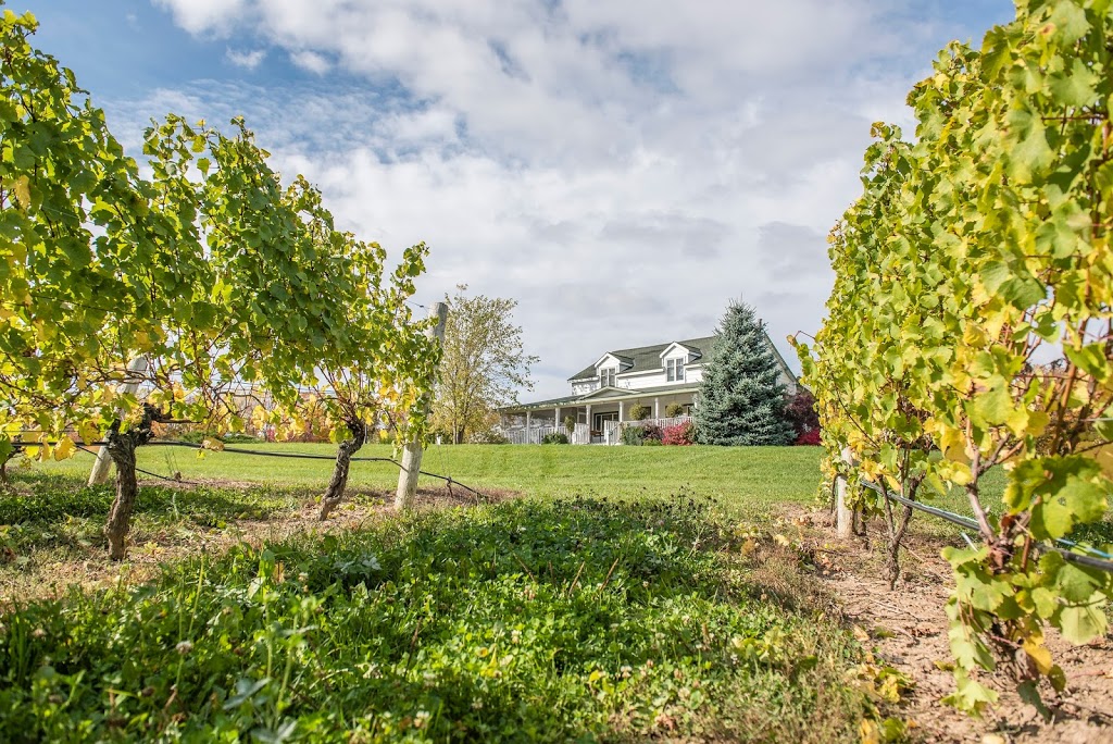 Featherstone Estate Winery & Vineyard | 3678 Victoria Ave, Vineland, ON L0R 2C0, Canada | Phone: (905) 562-1949
