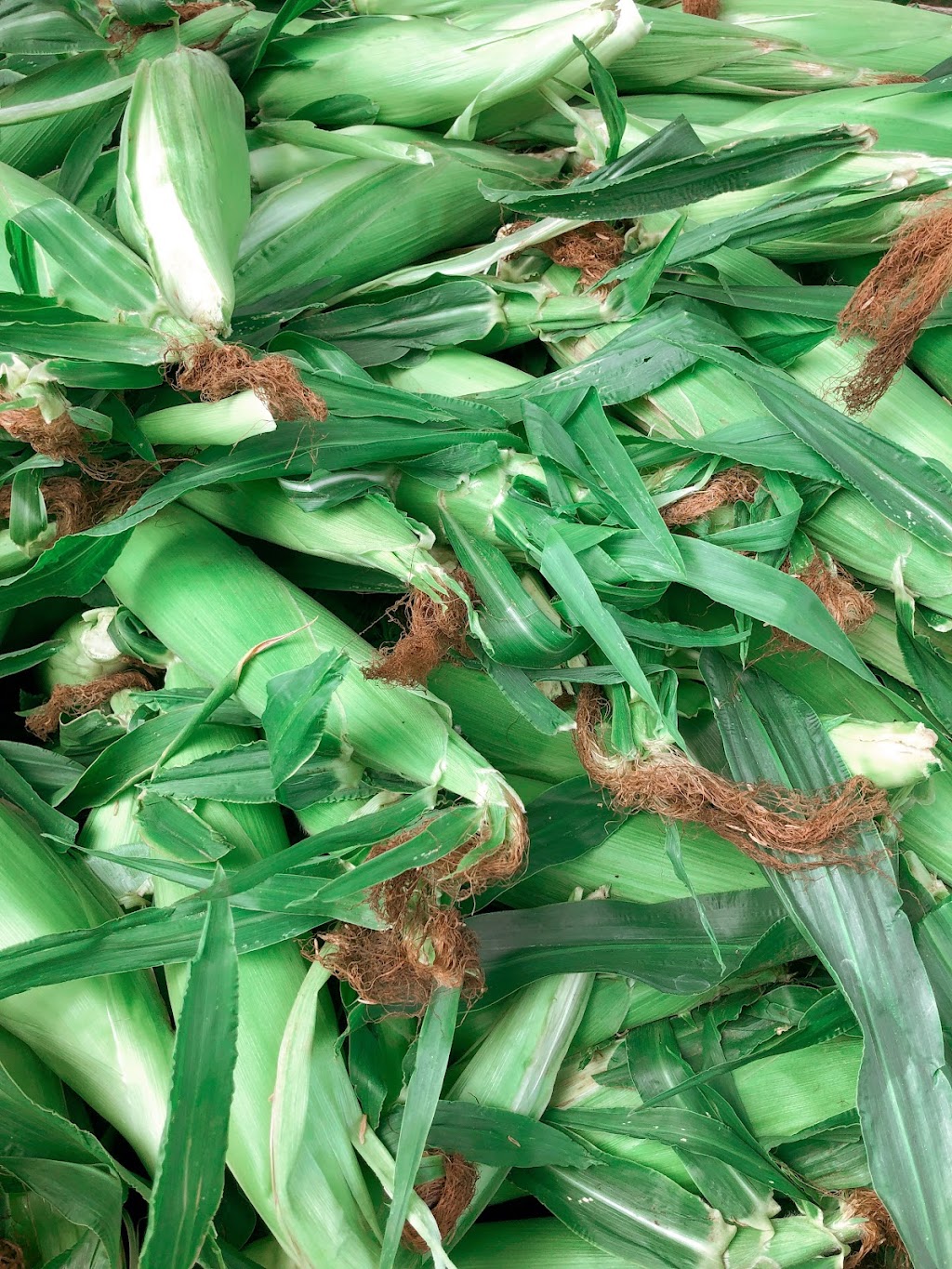 Van Tol’s Sweet Corn Guelph | 7857 Eastview Rd, Guelph, ON N1H 6J1, Canada | Phone: (905) 536-1283