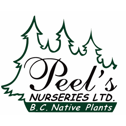 Peels Nurseries Ltd. | 35920 Pattison Rd, Fraser Valley F, BC V2V 4J1, Canada | Phone: (604) 820-7386