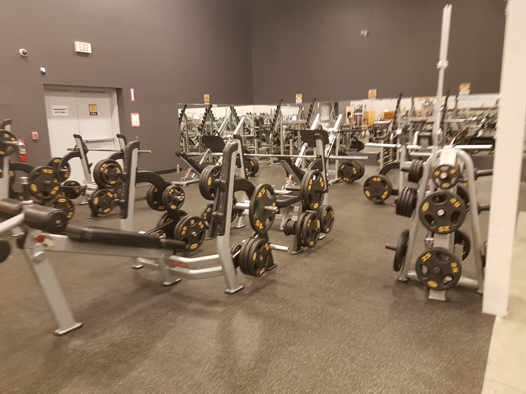 Fit4Less | 301 Confederation Dr #4, Saskatoon, SK S7L 5C3, Canada | Phone: (306) 249-5377
