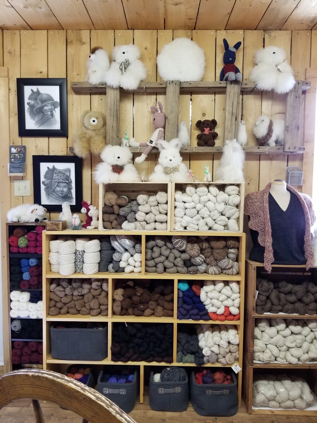 Les Alpagas du Cap | 1547 Route des Pommiers, Cap-Saint-Ignace, QC G0R 1H0, Canada | Phone: (418) 241-3674