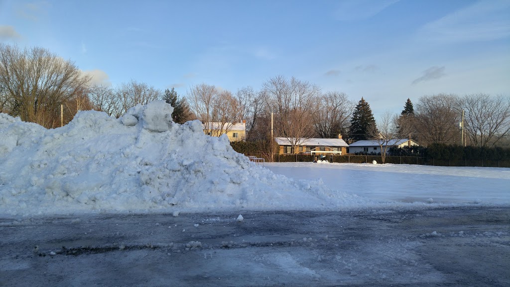 École Préville | 139, rue dAlsace, Saint-Lambert, QC J4S 1M8, Canada | Phone: (450) 671-2662