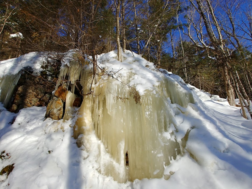 Oxtongue River - Ragged Falls Provincial Park | 1050 Oxtongue Lake Rd, Dwight, ON P0A 1H0, Canada | Phone: (705) 789-5105