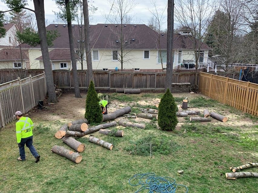 DNA Tree Service | 15 Noblewood Dr, Nobleton, ON L0G 1N0, Canada | Phone: (416) 605-4506