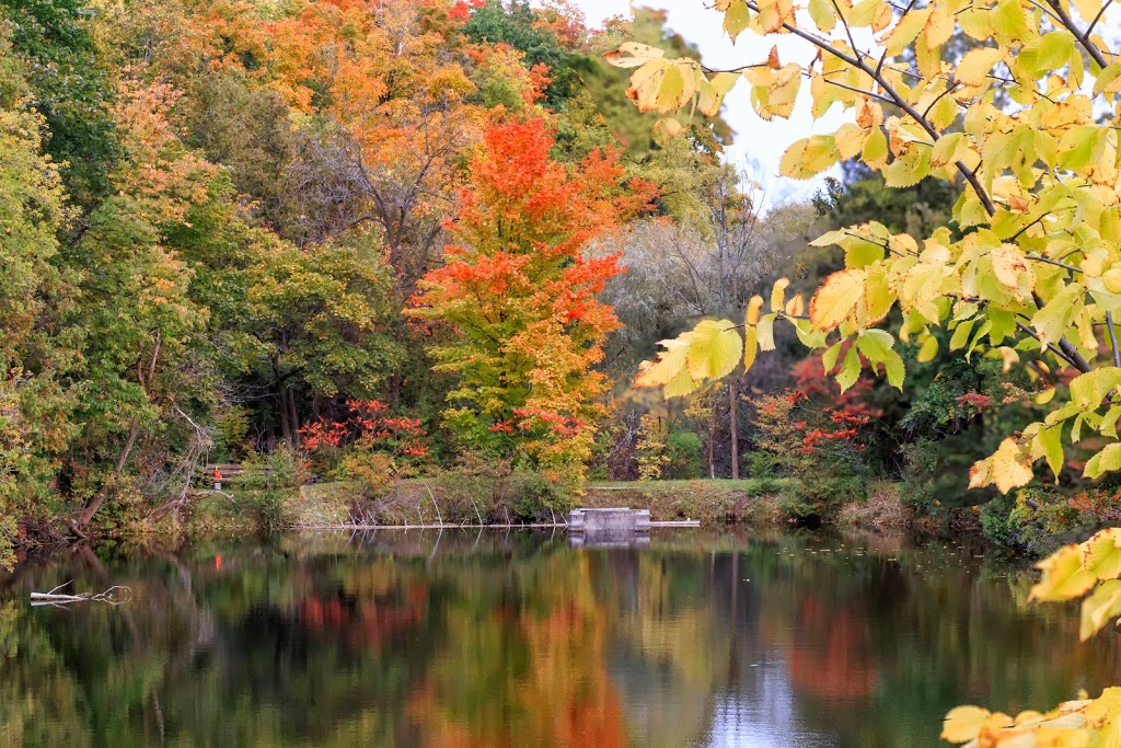 Campbellville Conservation Area | 46 McLaren Rd, Milton, ON L0P, Canada