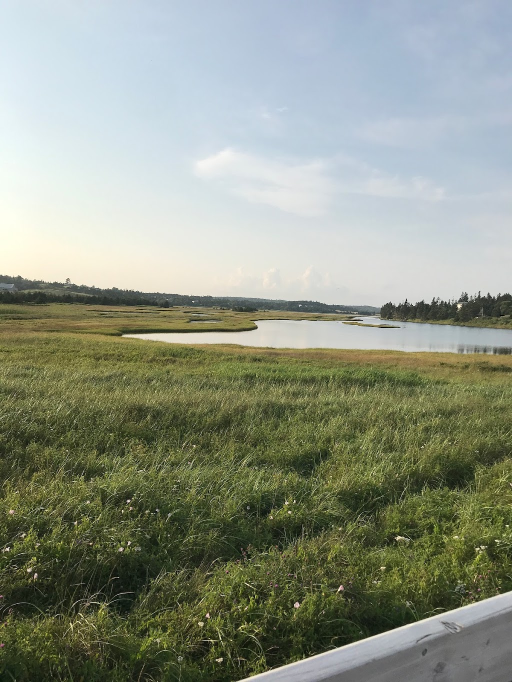 Nova Scotia Provincial Parks | 195 Conrad Rd, Lawrencetown, NS B2Z 1S1, Canada | Phone: (902) 424-5937