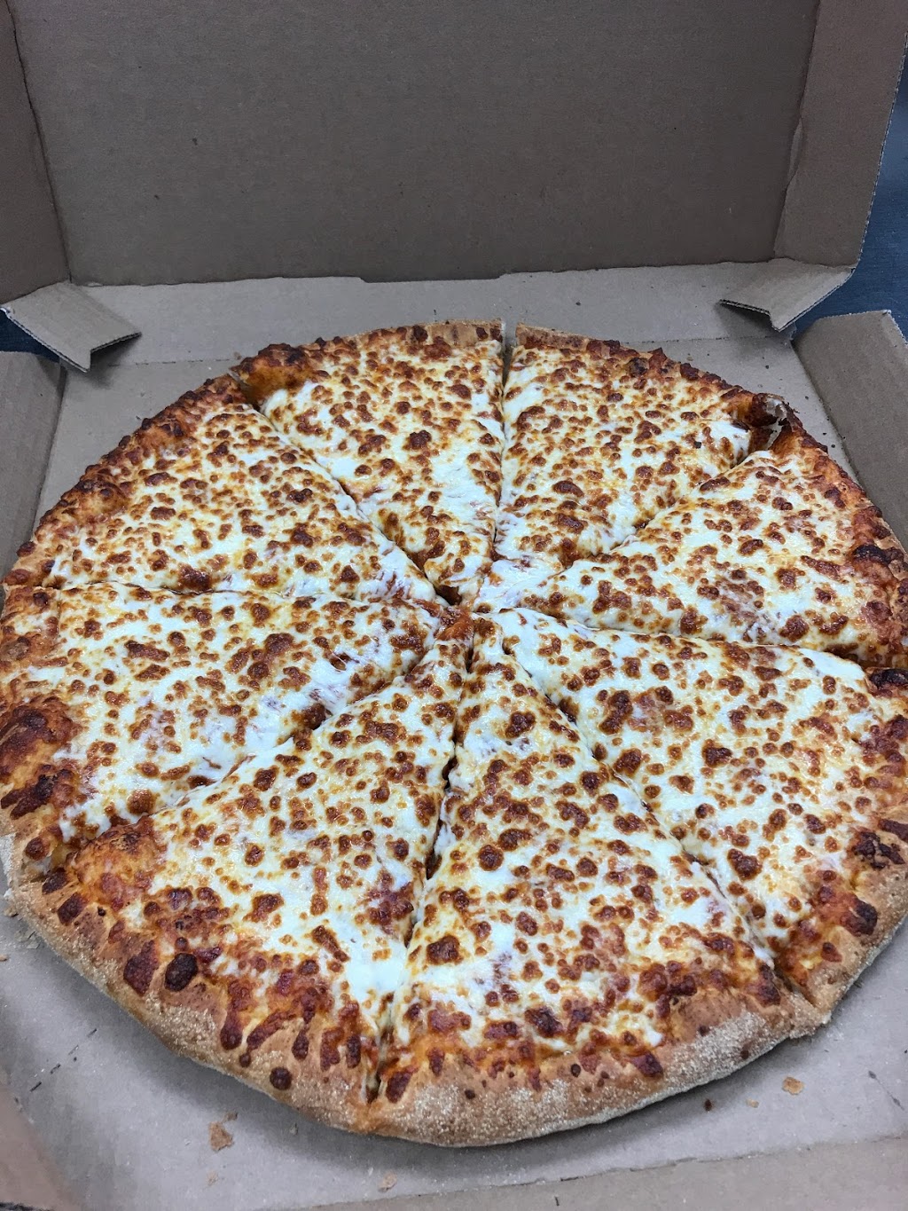 Dominos Pizza | 873 Danforth Ave, Toronto, ON M4J 1L8, Canada | Phone: (416) 778-7800