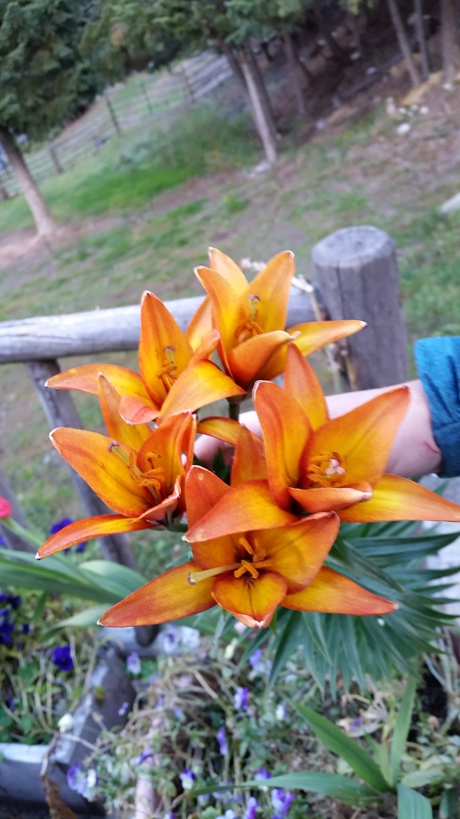 Edge Hills Provincial Park | Pavilion, BC V0K 2H0, Canada | Phone: (800) 689-9025
