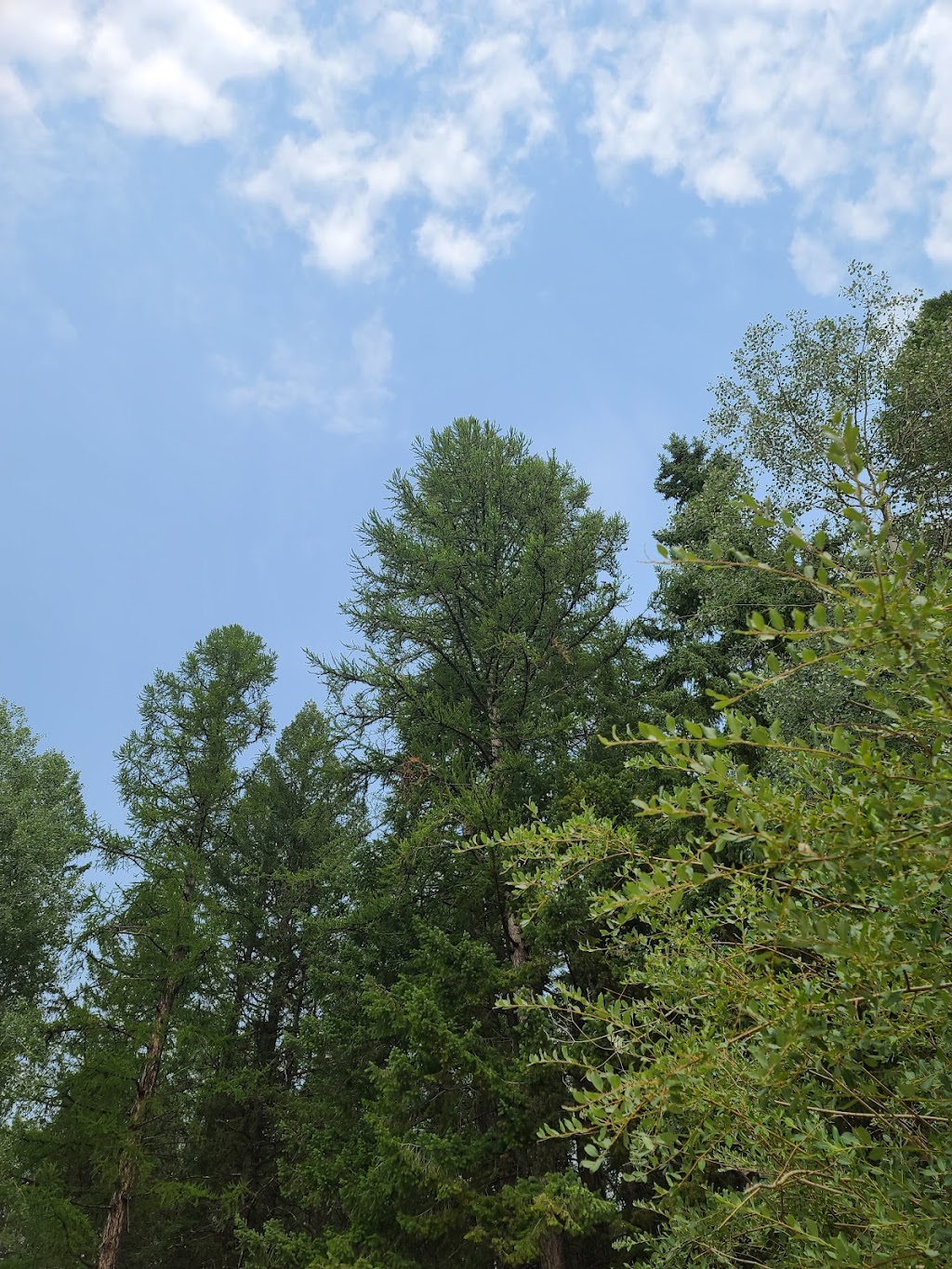 Kikomun Creek Provincial Park | East Kootenay B, BC V0B 1T0, Canada | Phone: (250) 422-3003
