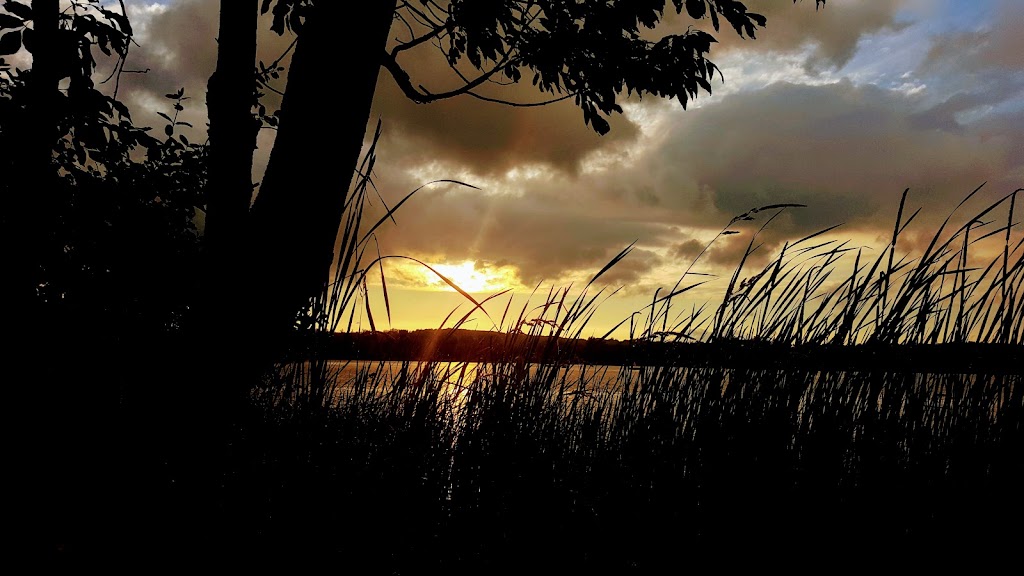 Evolution Yoga and Wellness | Campbellford, ON K0L 1L0, Canada | Phone: (705) 632-1835