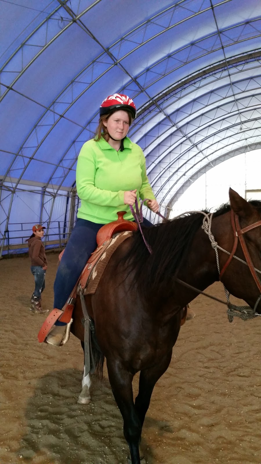 Sunwest Equine | Lac Ste. Anne County, AB T0E 1A0, Canada