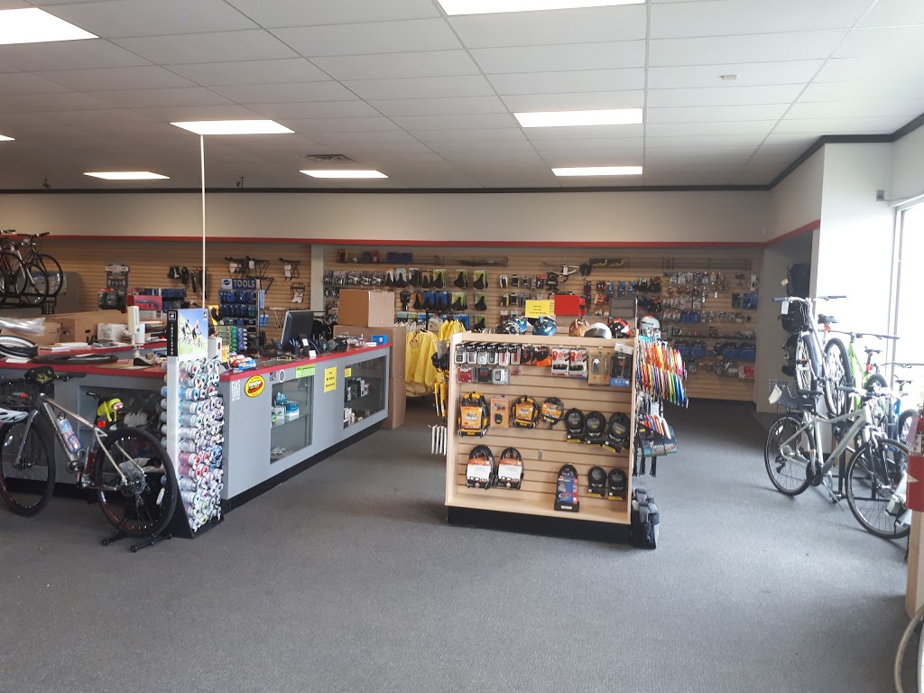 Niagara Cycle | 2749 Military Rd, Niagara Falls, NY 14304, USA | Phone: (716) 205-1125