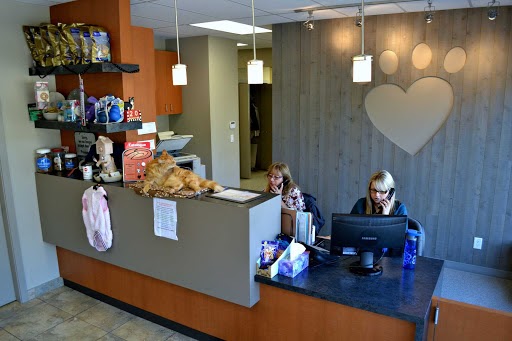 Rutland Pet Hospital - Kelowna Vet Clinic | 595 Houghton Rd, Kelowna, BC V1X 6E9, Canada | Phone: (250) 765-2916