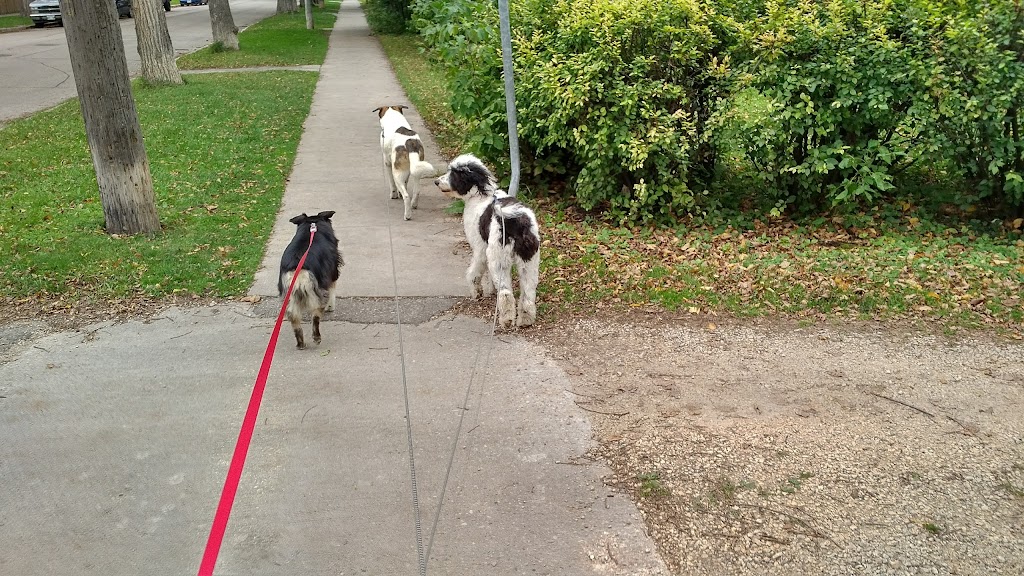 For Pets Sake | 168 Baltimore Rd, Winnipeg, MB R3L 1H3, Canada | Phone: (204) 885-2116