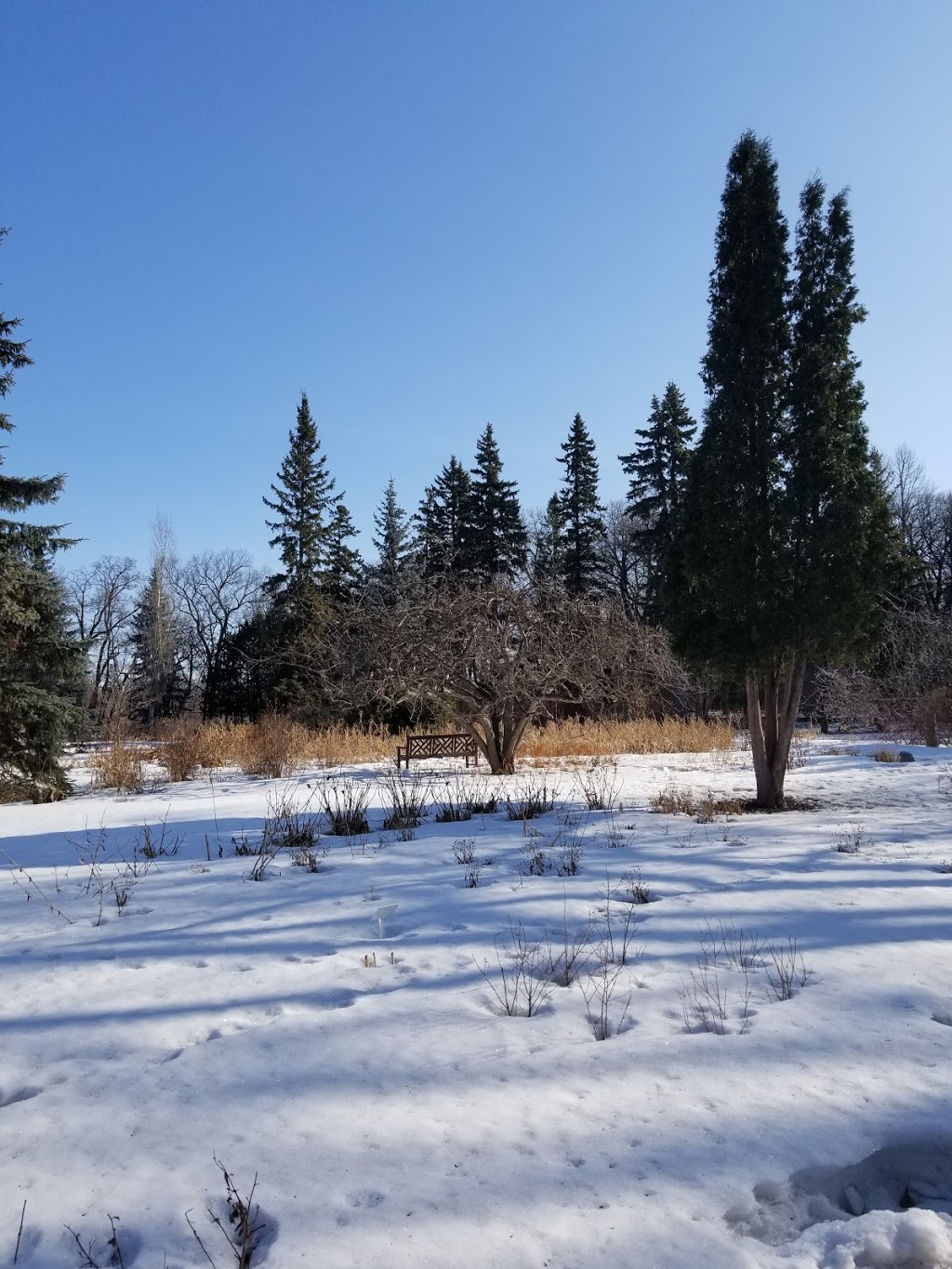 English Garden | Winnipeg, MB R3J, Canada