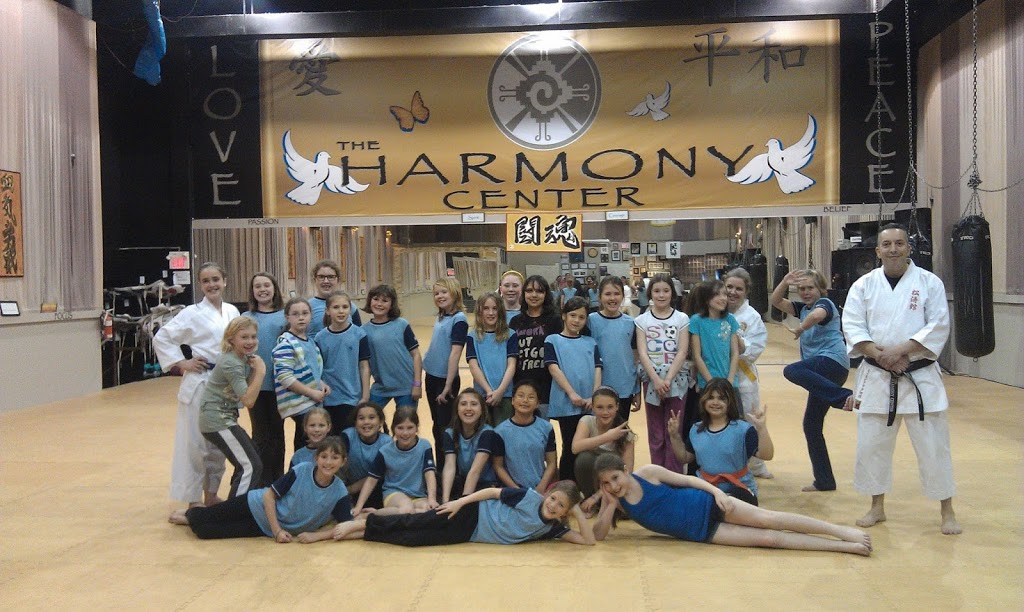 The Harmony Martial Arts & Fitness Center | 1755 Plummer St, Pickering, ON L1W 3L7, Canada | Phone: (905) 839-3488