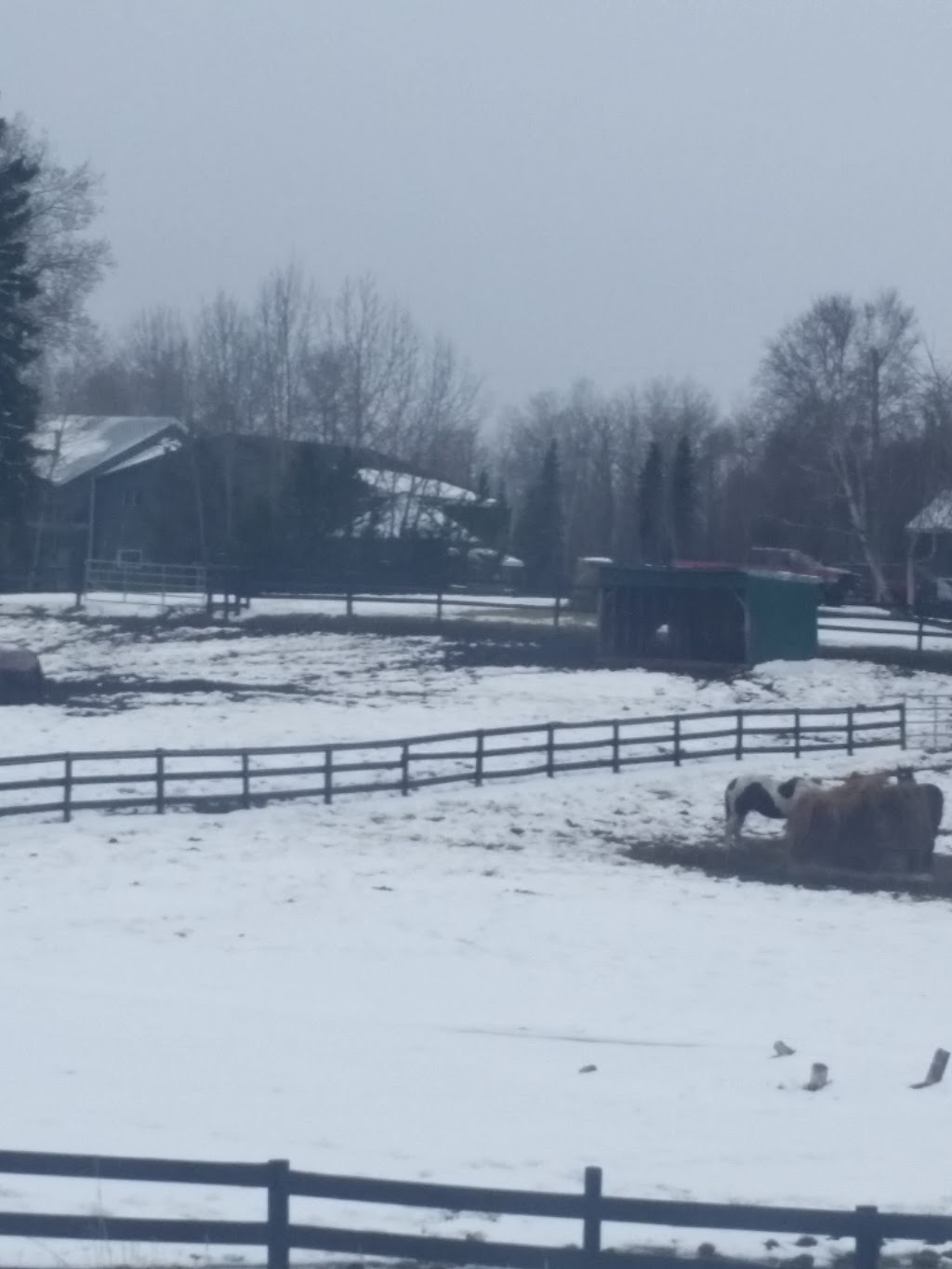 The Rusty Horseshoe Ranch | 53228 AB-43, Parkland County, AB T7Y 0C8, Canada | Phone: (780) 991-5808
