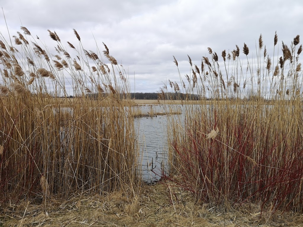Komoka Provincial Park - The Ponds | 22290 Komoka Rd, Middlesex Centre, ON N0L, 22290 Komoka Rd, Middlesex Centre, ON N0L, Canada | Phone: (519) 874-4691