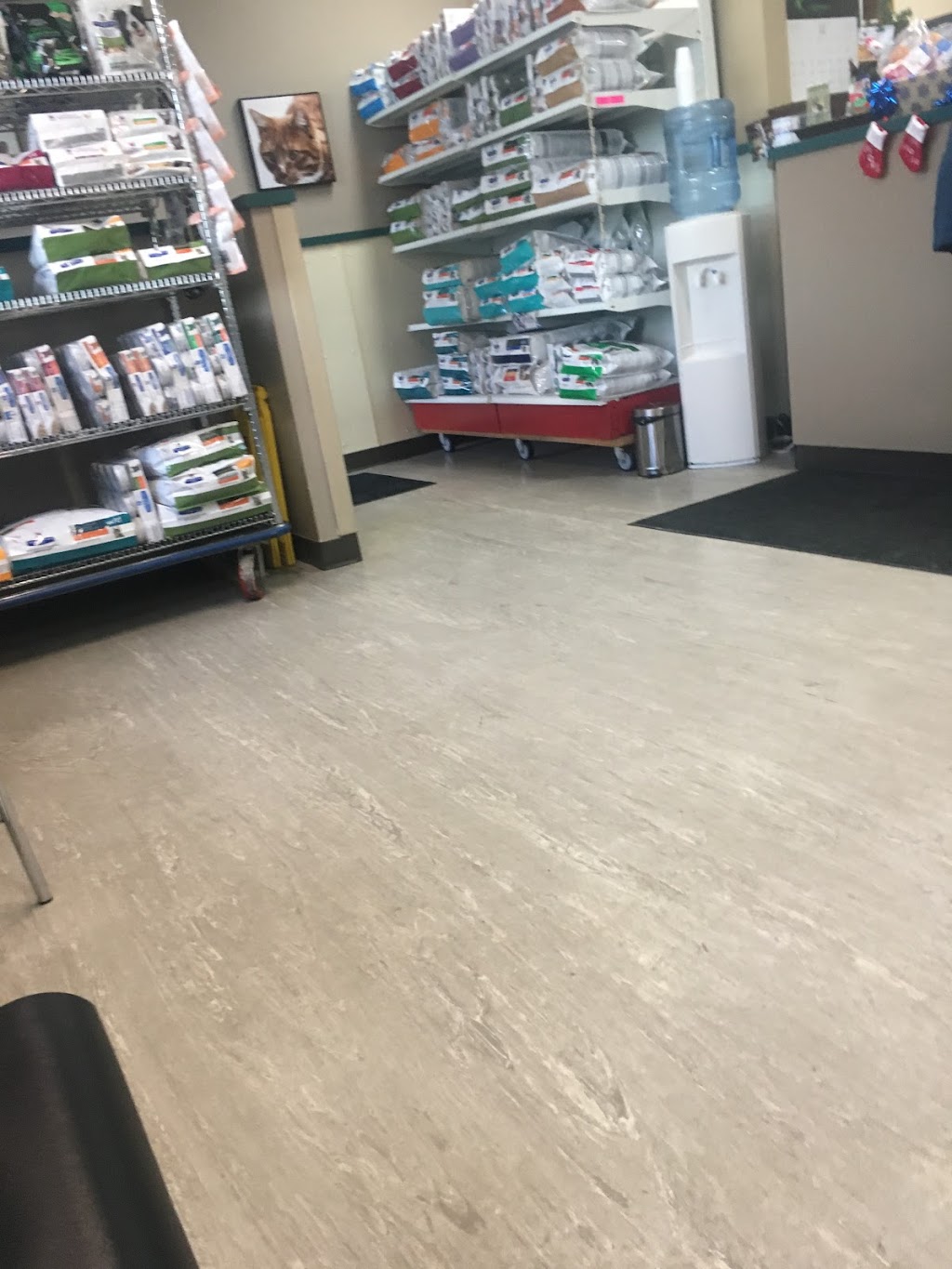 Macleod Trail Animal Hospital | 8910 Macleod Trail SE, Calgary, AB T2H 0M4, Canada | Phone: (403) 255-1168