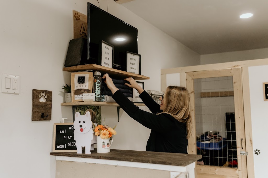 Auroraw Doggy Stay and Play Dog Boarding + Daycare | 8131 NB-126, Harcourt, NB E4T 2Z7, Canada | Phone: (519) 721-3991