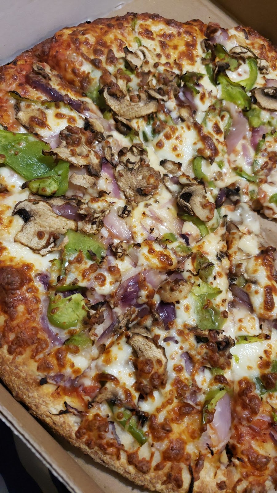 New Pizza House | 15 Fandor Way, Brampton, ON L7A 2G9, Canada | Phone: (905) 840-4141