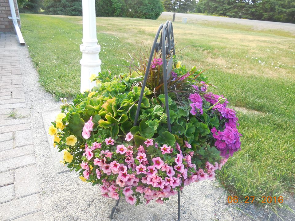 Hollas Produce & Greenhouses | 3651 Martin Rd, Val Caron, ON P3N 1R3, Canada | Phone: (705) 897-7554