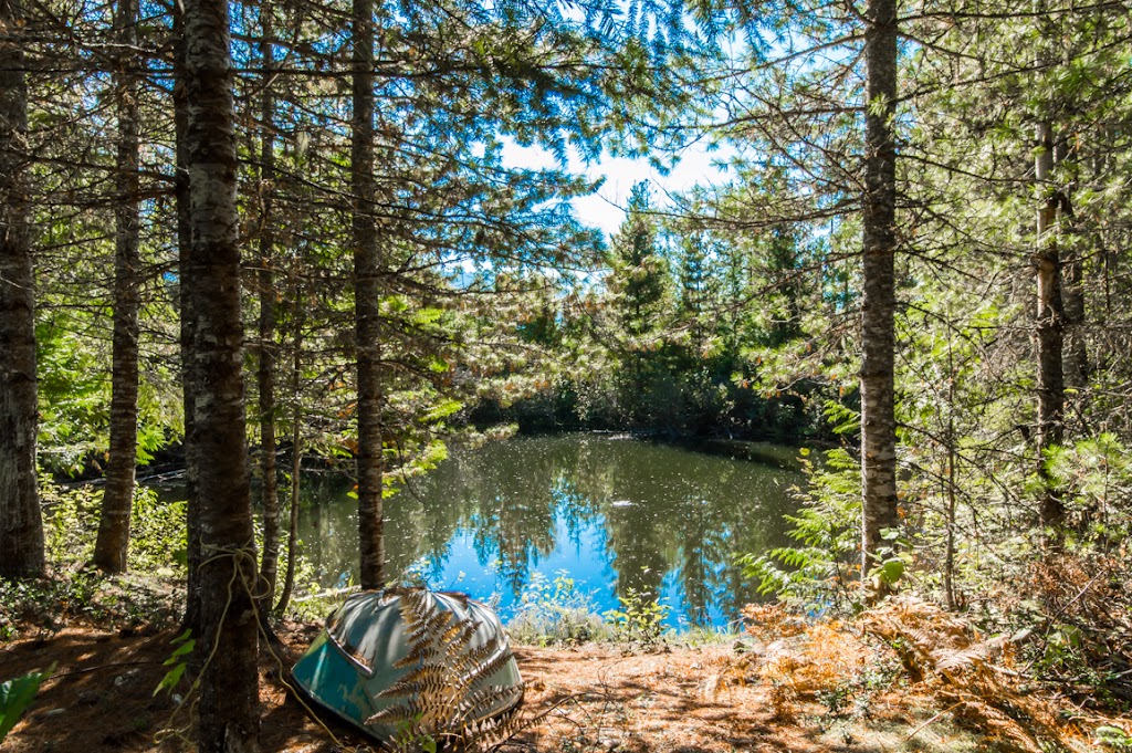 Eagle Valley Homestead | 4839 Lybarger Rd, Malakwa, BC V0E 2J0, Canada | Phone: (236) 836-0611