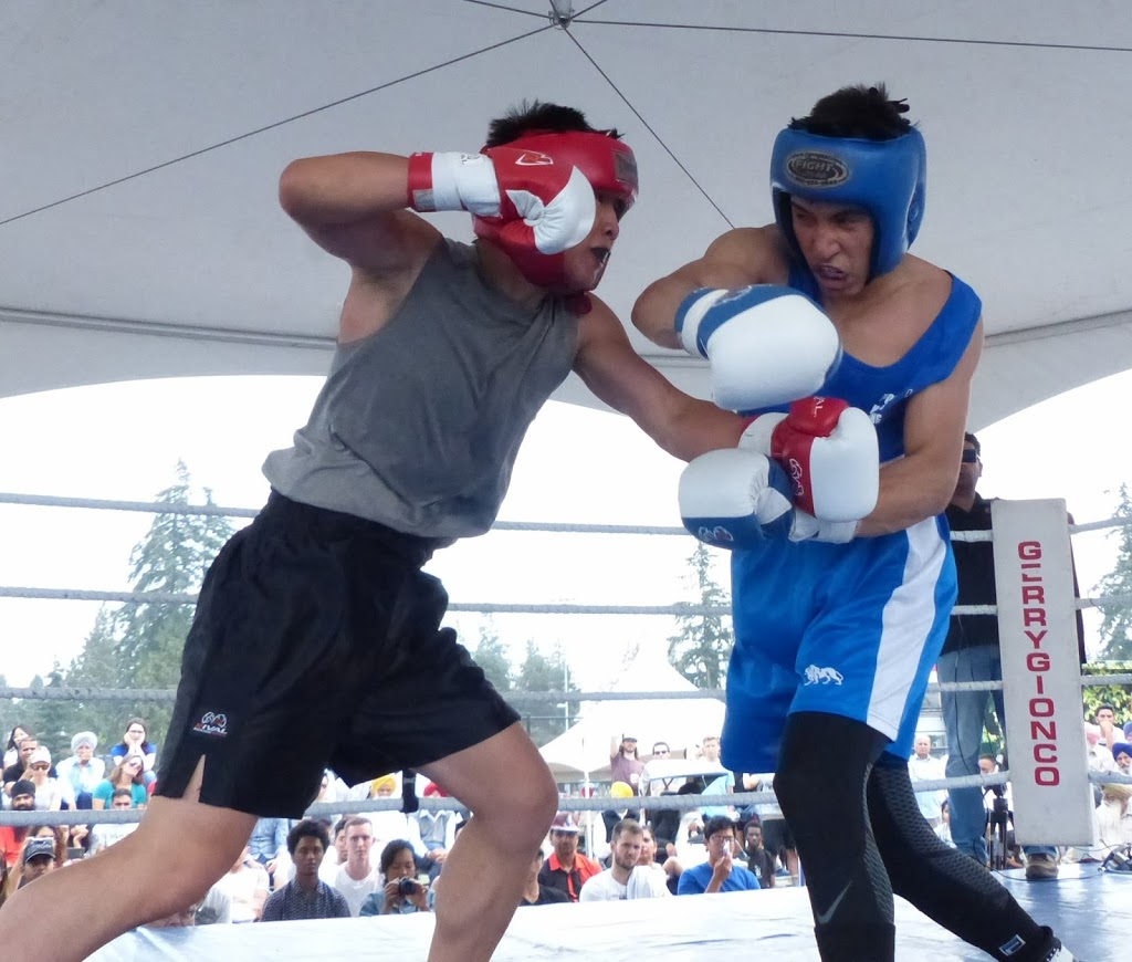 Pack of Wild Dogs | 12851 No 5 Rd, Richmond, BC V7A 4E9, Canada | Phone: (778) 322-2195