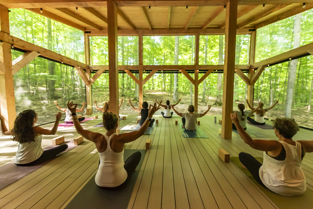 Vicki Tree Yoga and Wellness | 3626 5 Line N, Coldwater, ON L0K 1E0, Canada | Phone: (647) 273-2338