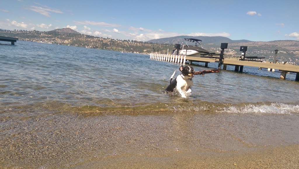 Beach Avenue Beach Access | 188 Beach Ave, Kelowna, BC V1Y, Canada