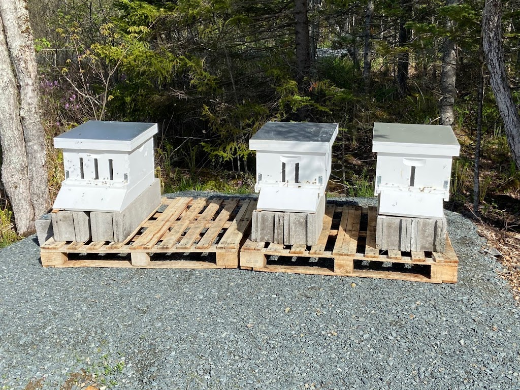 Country Fields Beekeeping Supplies Ltd. | 11 Falls Run, Fall River, NS B2T 0T4, Canada | Phone: (877) 505-6363